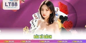 bai-xi-dach
