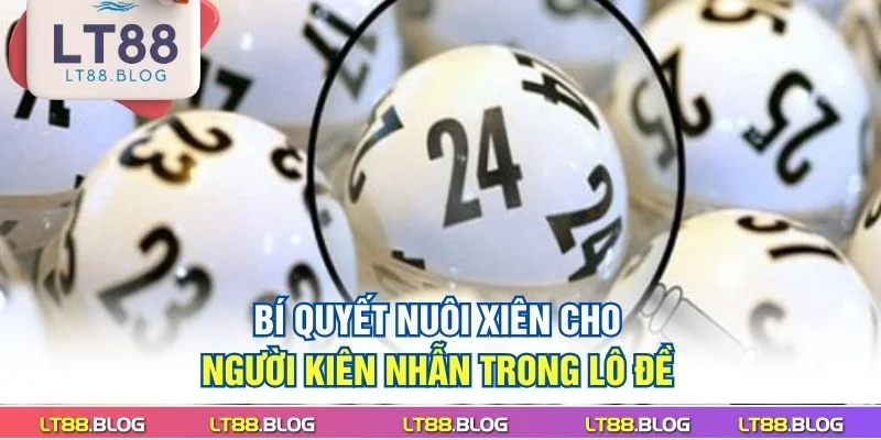bi-quyet-nuoi-xien-cho-nguoi-kien-nhan-trong-lo-de