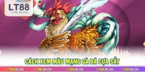 cach-xem-mau-mang-ga-da-cua-sat