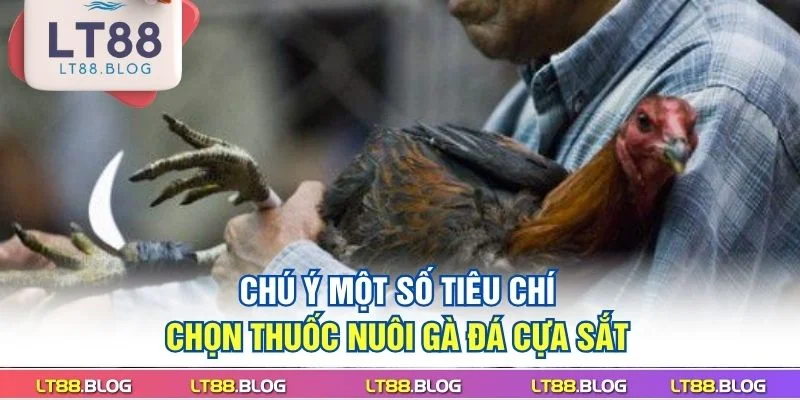 chu-y-mot-so-tieu-chi-chon-thuoc-nuoi-ga-da-cua-sat