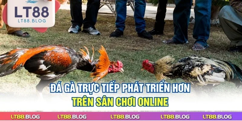 da-ga-truc-tiep-phat-trien-hon-tren-san-choi-online