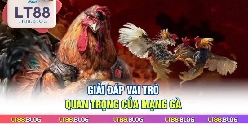 giai-dap-vai-tro-quan-trong-cua-mang-ga