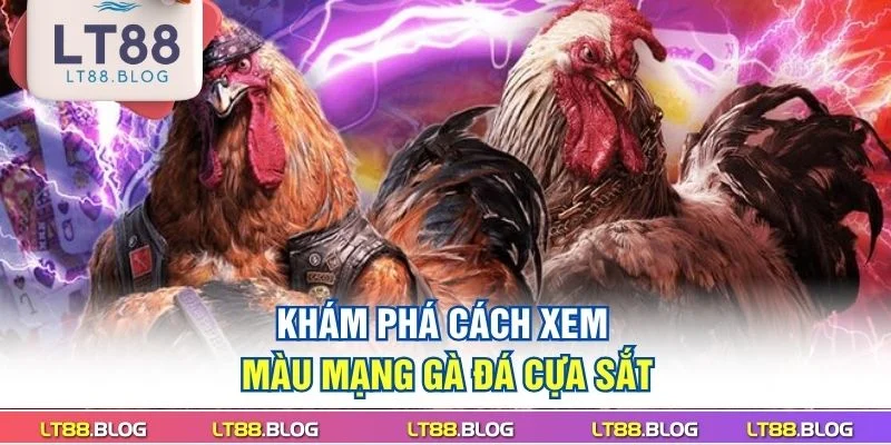 kham-pha-cach-xem-mau-mang-ga-da-cua-sat