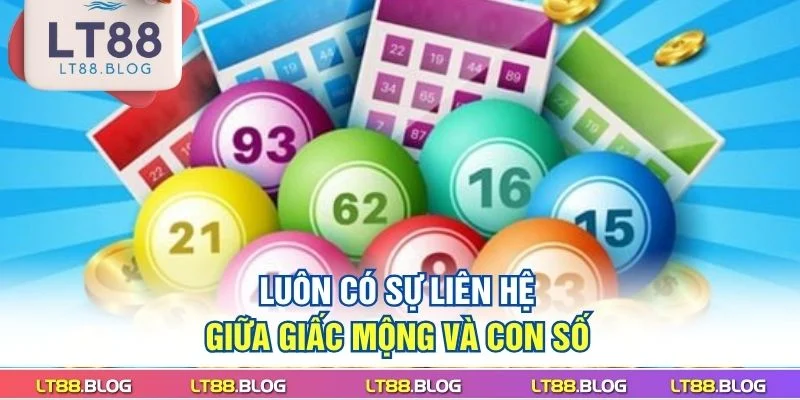 luon-co-su-lien-he-giua-giac-mong-va-con-so