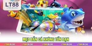 meo-ban-ca-khong-ton-dan