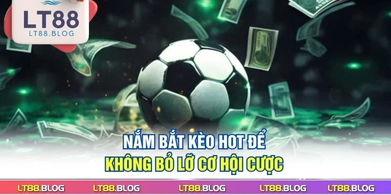 nam-bat-keo-hot-de-khong-bo-lo-co-hoi-cuoc