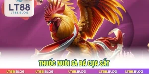 thuoc-nuoi-ga-da-cua-sat
