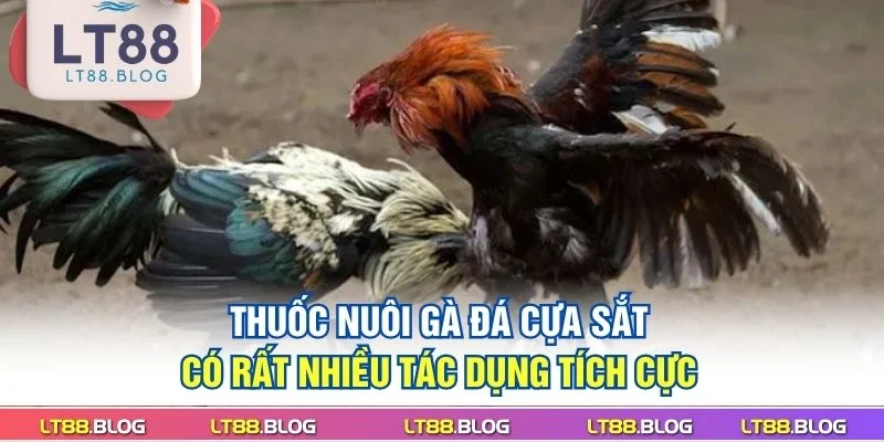 thuoc-nuoi-ga-da-cua-sat-co-rat-nhieu-tac-dung-tich-cuc