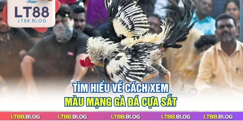 tim-hieu-ve-cach-xem-mau-mang-ga-da-cua-sat