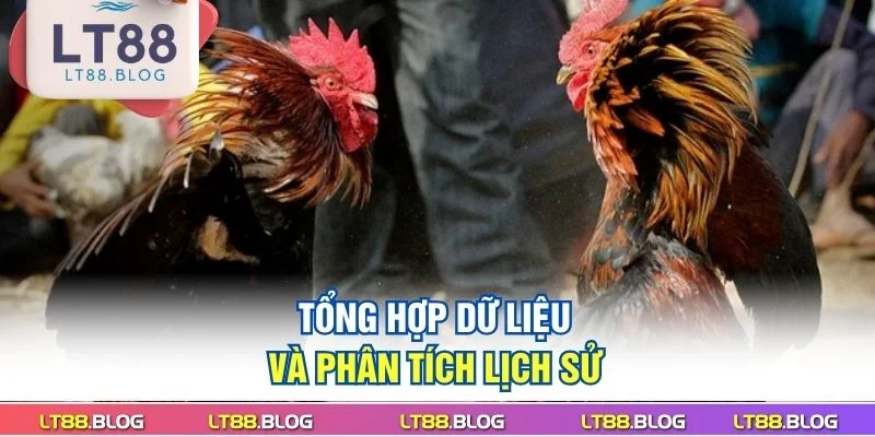 tong-hop-du-lieu-va-phan-tich-lich-su