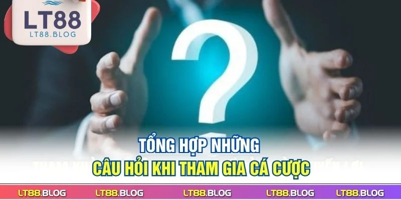 tong-hop-nhung-cau-hoi-khi-tham-gia-ca-cuoc