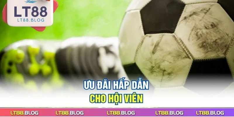 uu-dai-hap-dan-cho-hoi-vien